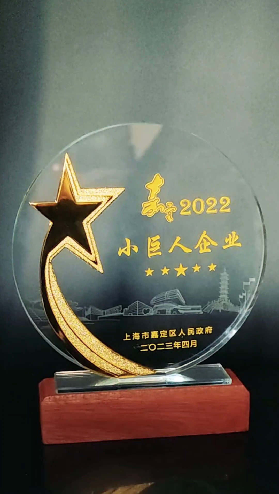 公司喜獲小巨人企業(yè)和創(chuàng)新發(fā)展先鋒企業(yè)稱號(hào)